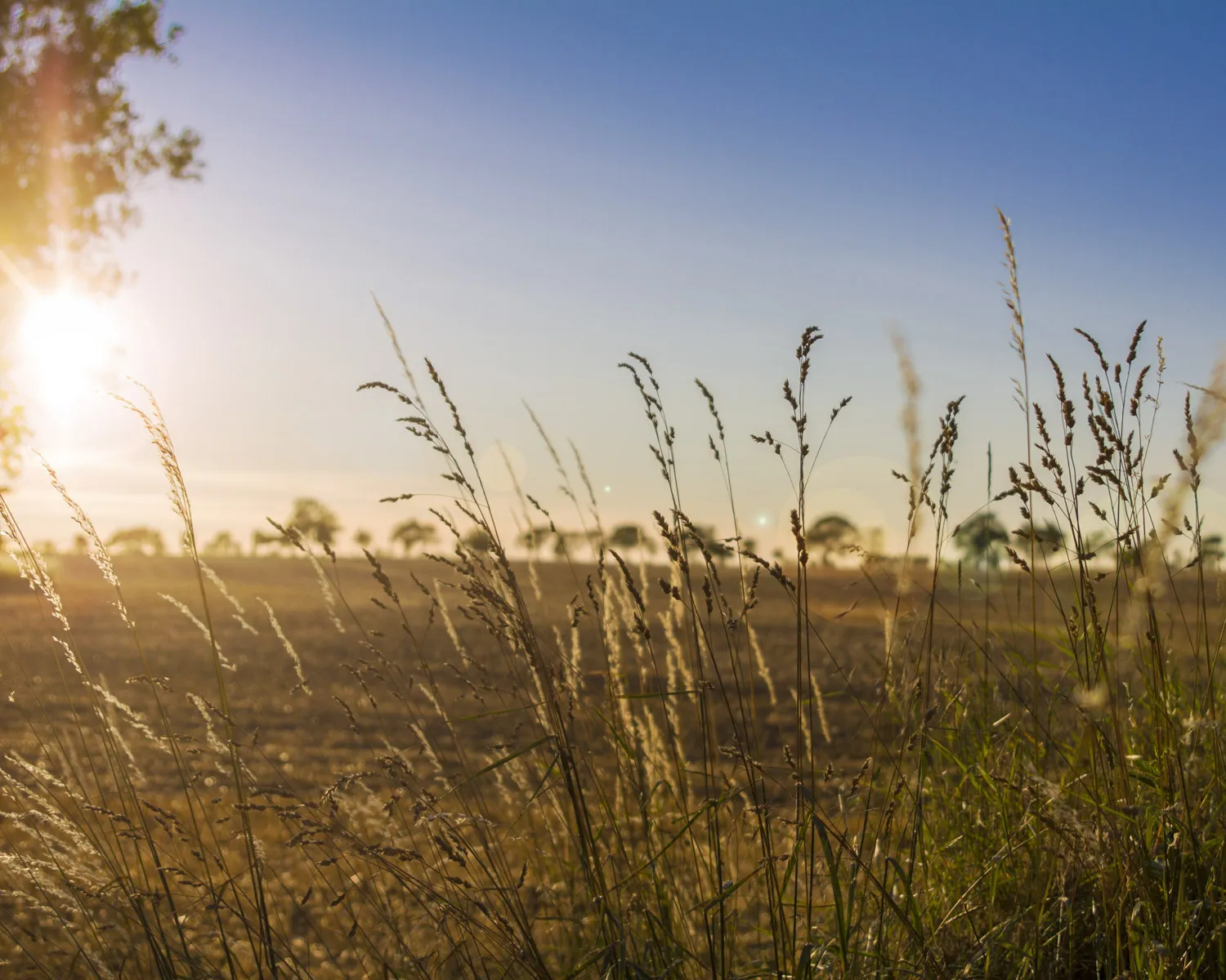 image11_682639c79af71